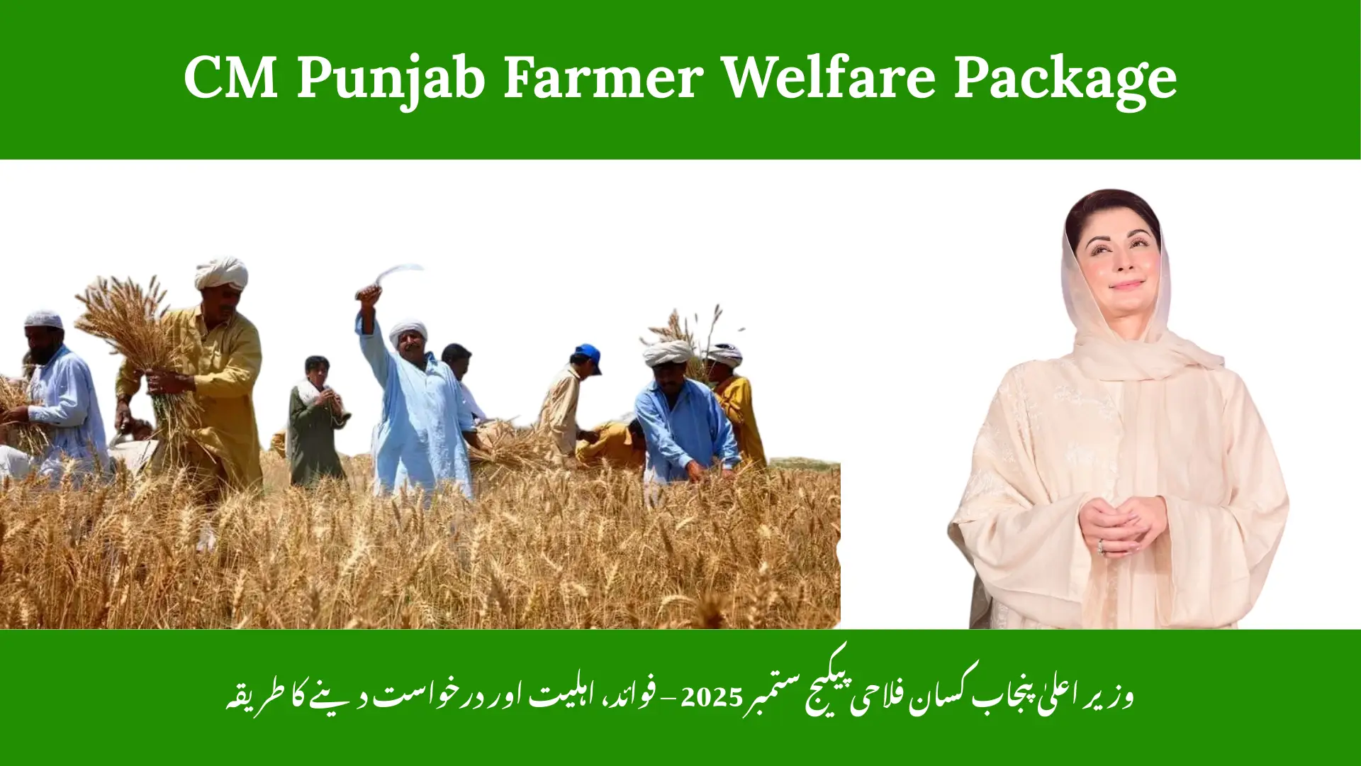 CM Punjab Farmer Welfare Package