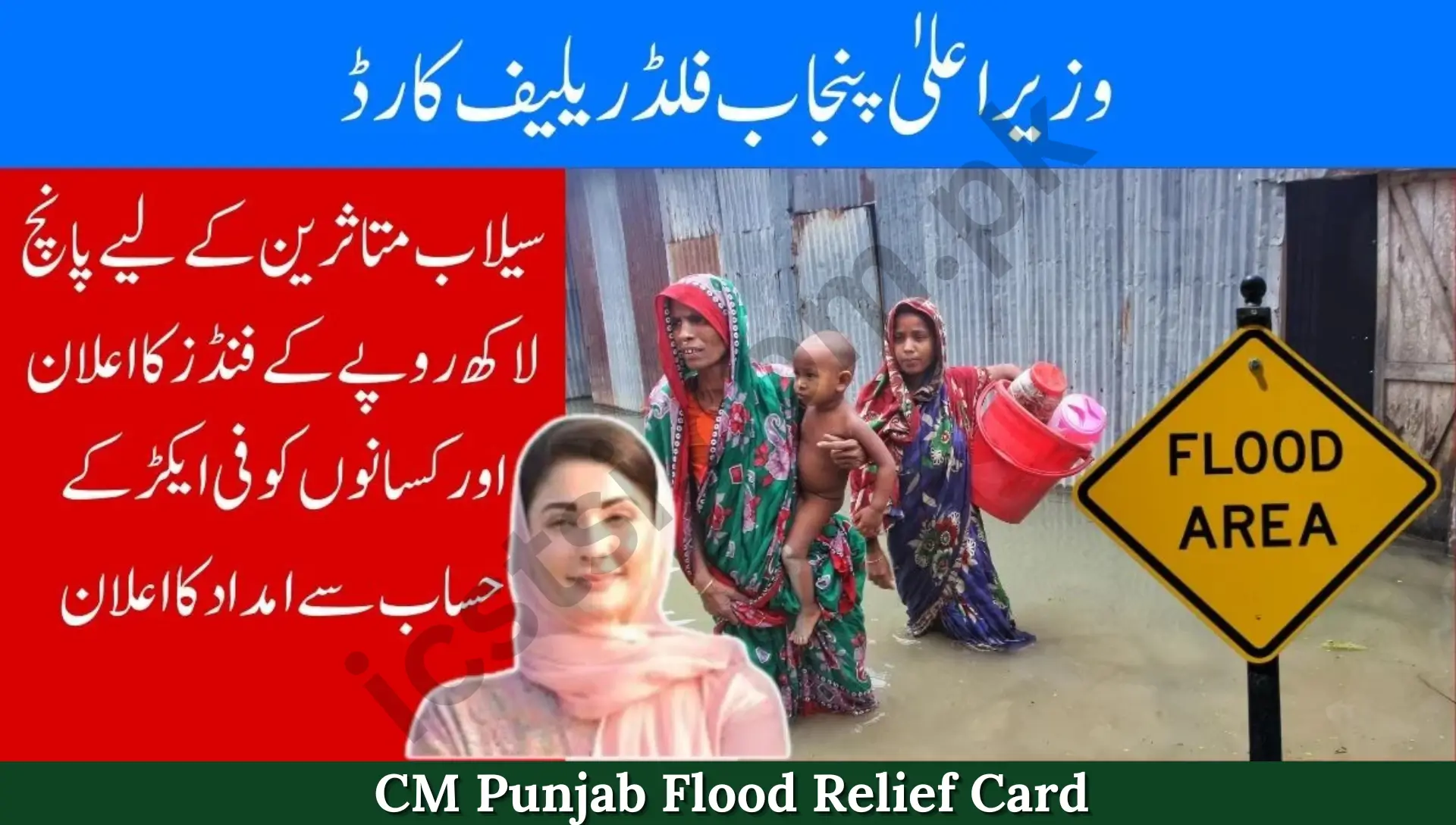 CM Punjab Flood Relief Card