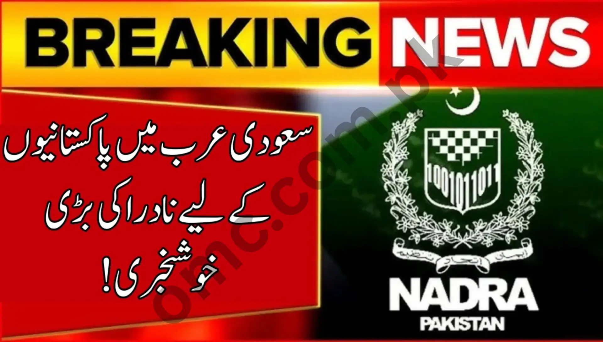 NADRA Announces Special Facility for Pakistanis in Saudi Arabia